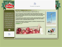 Tablet Screenshot of ornektarim.com
